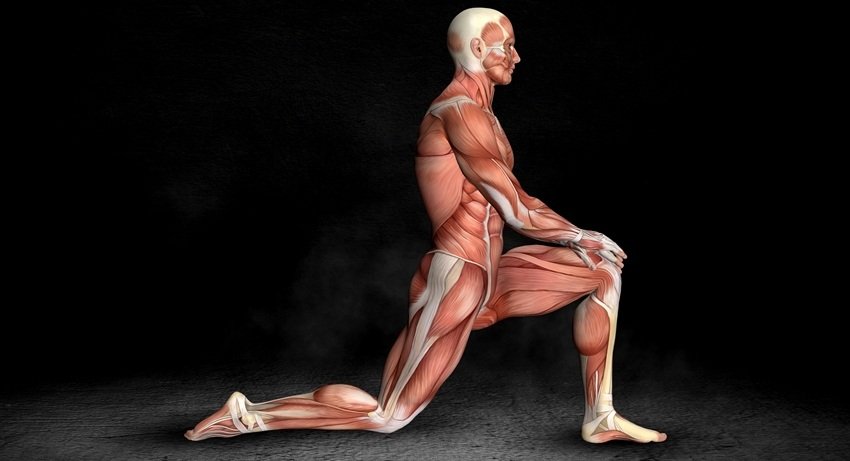 Keep Your Second Heart Strong to Prevent Heart Attack and Blood Clots
