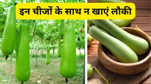 Lauki ke sath kya nahi khana chahiye | food combination | What not to eat with bottle gourd