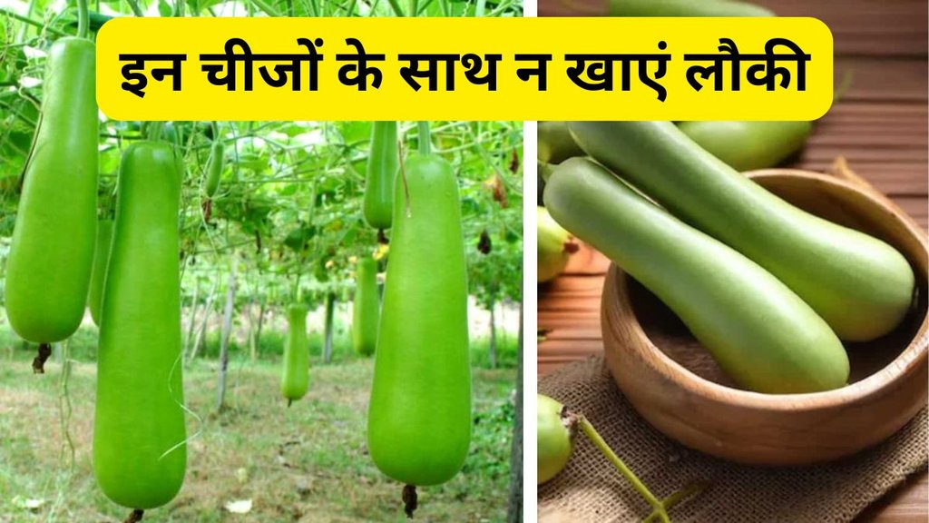 Lauki ke sath kya nahi khana chahiye | food combination | What not to eat with bottle gourd