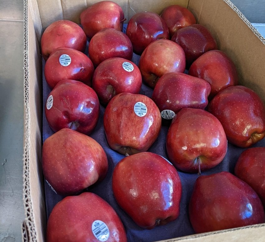 Learn to check apples the right way