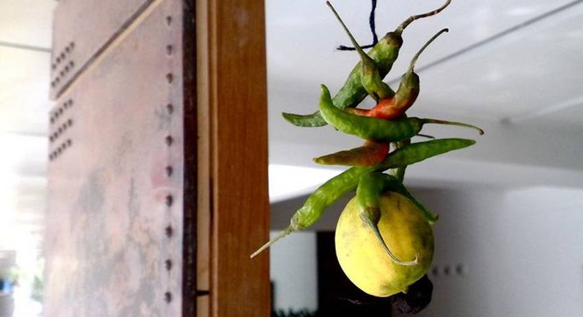 lemon chili significance