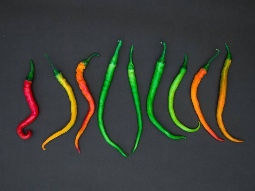 emon chili superstition
