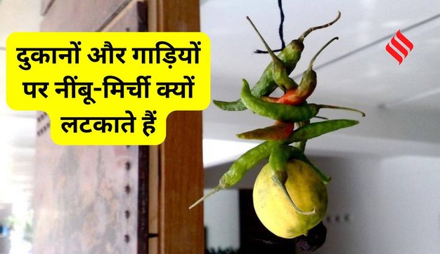 Lemon chili hanging meaning