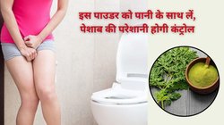 बार-बार पेशाब आने की समस्या है? पानी कम न करें बल्कि रात में इन पत्तों का पाउडर बनाकर पीएं, डॉक्टर ने कहा फ्रीक्वेंट यूरिनेशन होगा कंट्रोल