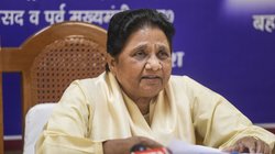 यूपी की सियासत में खड़ा हो रहा ‘हाथी’? मायावती ने ऊंचा किया आकाश आनंद का ‘कद’, समझिए BSP की रणनीति