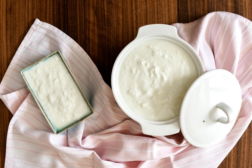 Milk vs Curd Which Is Healthier for Your Child