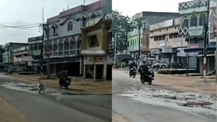 Monkey Viral Video, Viral Video, Trending Video