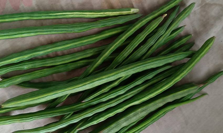 Moringa for hair growth