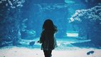 Importance of creativity, creativity and life, creativity