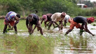 PM Kisan scheme