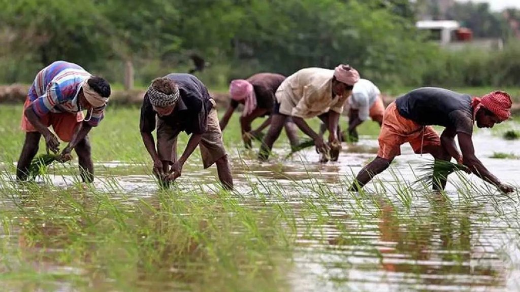 PM Kisan scheme