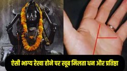 Palmistry: हथेली में ऐसी भाग्य रेखा होने पर व्यक्ति को मिलता है धन, सम्मान और करियर में बड़ा पद, शनि देव की रहती है विशेष कृपा