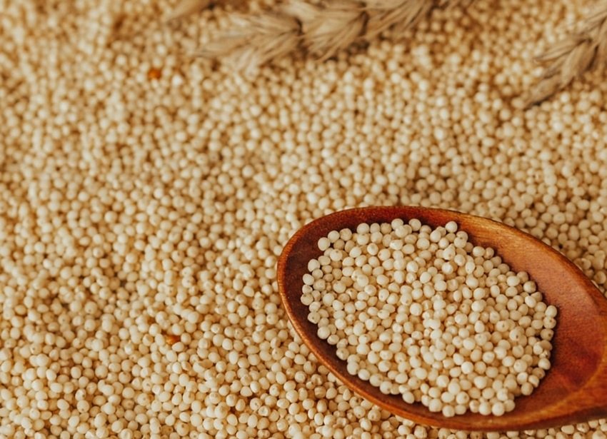 Proso Millet