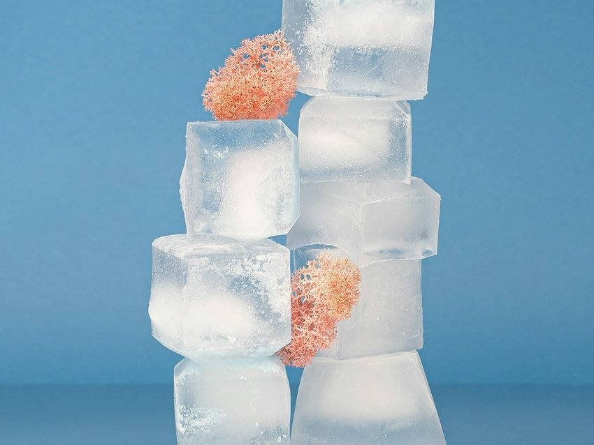 Rice Water Ice Cubes