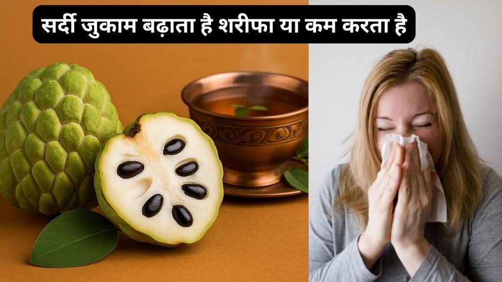 custard apple side effects in winter, does sitaphal cause cold and cough, Ayurvedic view on custard apple, sharifa health benefits and precautions