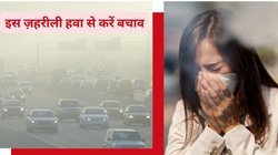 Smog Relief Drinks: स्मॉग और प्रदूषण से बचाएंगे ये 5 देसी आयुर्वेदिक ड्रिंक्स, फेफड़ें करेंगे साफ और इम्युनिटी बनाएंगे स्ट्रॉन्ग, जानिए कैसे