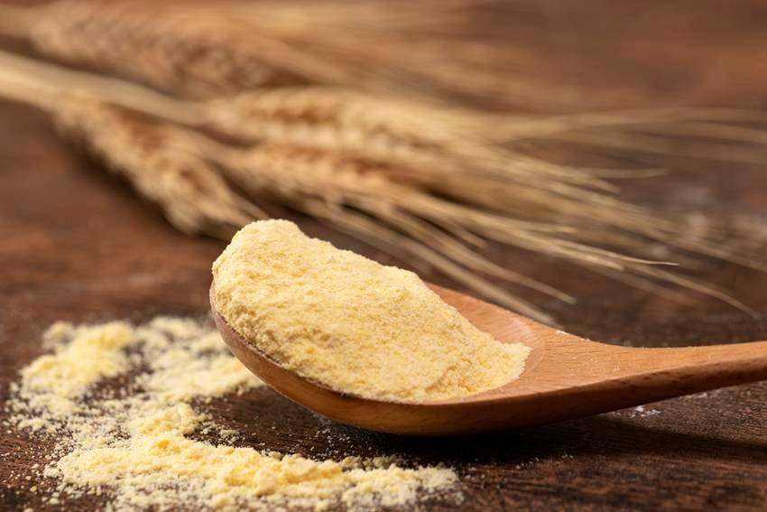 Protein-rich foods for weight loss