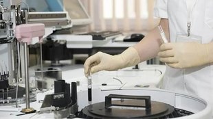 Nobel Prize 2025, Immune System Research, Immunity, Indian Health