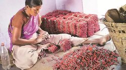 शिवकाशी की चकाचौंध के पीछे मौत का सन्नाटा, क्या भारत की ‘पटाखा राजधानी’ बारूद का एक शहर बन चुकी है?