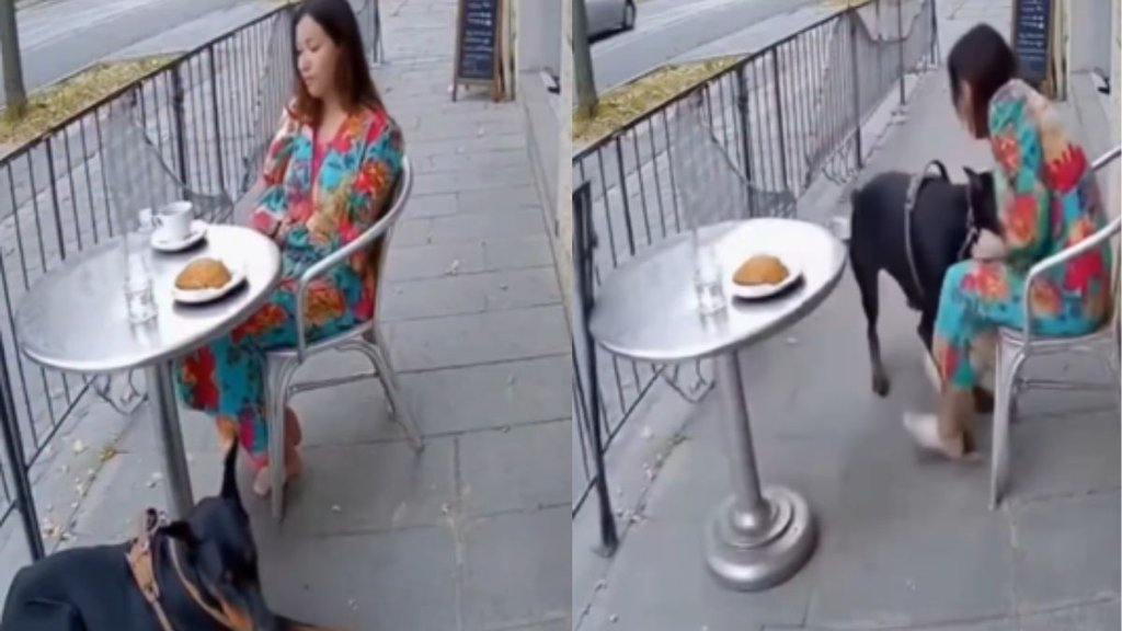 Shocking Viral Video, Viral Video, Trending Video Shocking Viral Video, Viral Video, Trending Video