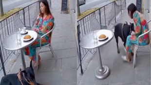 Shocking Viral Video, Viral Video, Trending Video