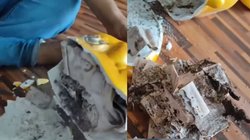 महिला ने एक-एक पैसे बचाकर गुल्लक में किया था जमा, सालभर बाद जब फोड़ा तो लग गया धक्का, Viral Video देख यूजर्स हो गए दंग