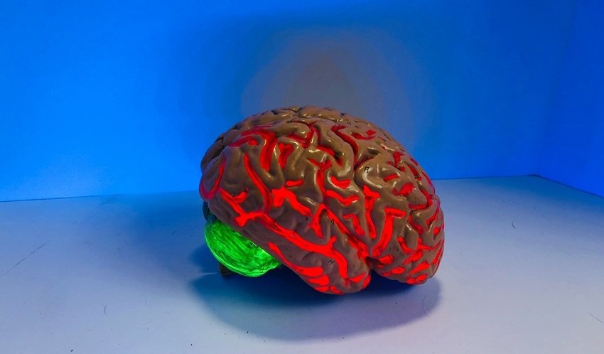 Sleep and Brain Health Why Missing Sleep Affects Mood and Focus