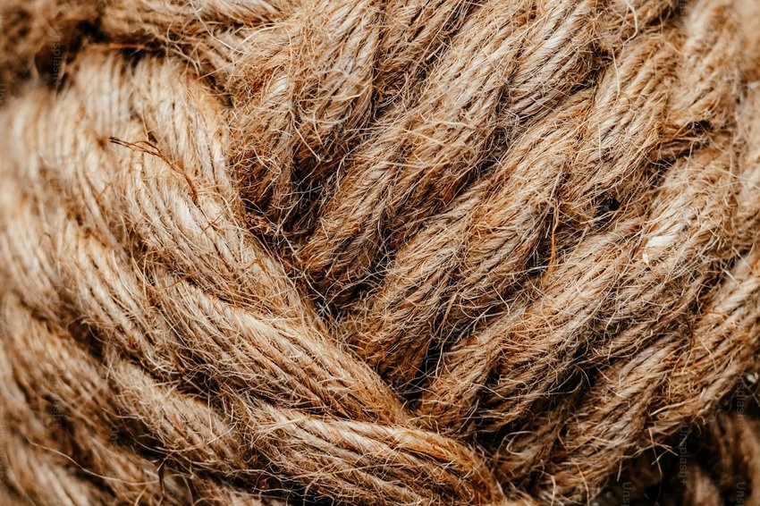 Smart Ways to Reuse Coconut Husk After Navratri