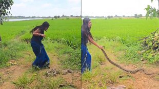 Snake Rescue Viral Video, Hindi News, Viral Video