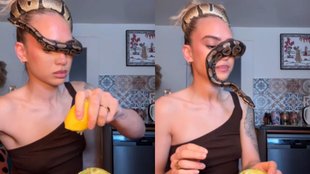 Snake Viral Video, Trending Video, Viral Video