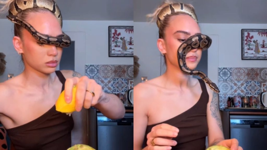Snake Viral Video, Trending Video, Viral Video
