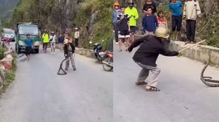 Snake Viral Video, Cobra Video, Viral Video