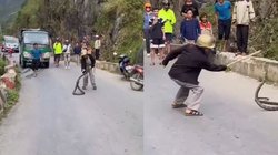 किंग कोबरा को परेशान करने लगा शख्स, पूंछ पकड़ कर पटका, नागराज को आया गुस्सा और फिर…, Viral Video देख चौंके यूजर्स
