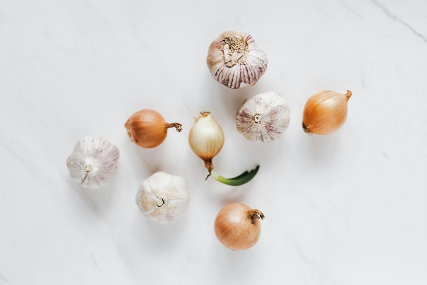 Snakes Hate These 6 Smells Protect Your Home Naturally
