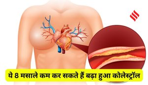 Spices to reduce cholesterol