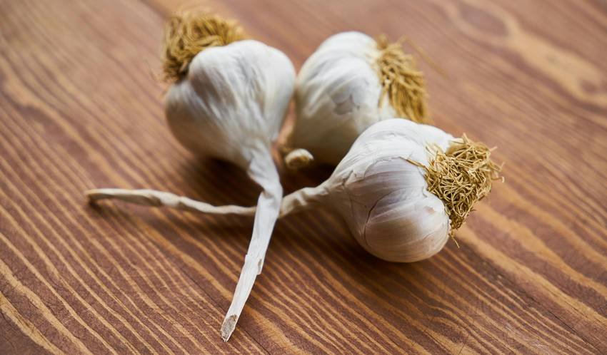 garlic for cholesterol
