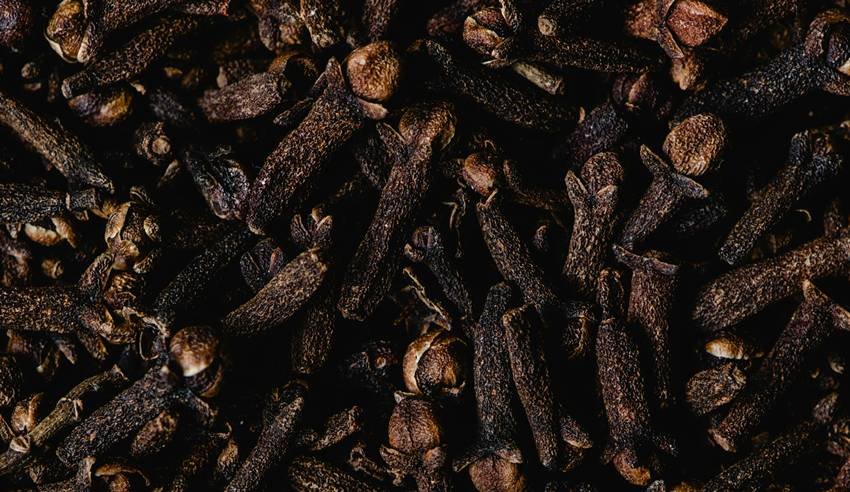 cloves for cholesterol