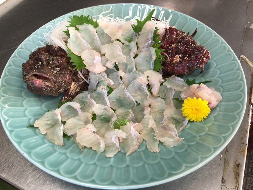 Stonefish anti venom
