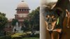 आवारा कुत्तों का मामला: ‘…अदालत के आदेश के प्रति कोई सम्मान नहीं, ठीक है उन्हें आने दीजिए’, सुप्रीम कोर्ट ने नहीं माना सॉलिसिटर जनरल का अनुरोध