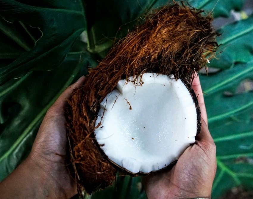 Sustainable Living 7 Easy Uses of Coconut Husk