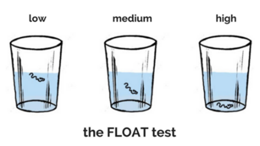 The Secret Water Test That Reveals Which Oil Is Best for Your Hair Type