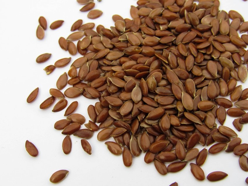 These 7 Morning Foods Can Stop Vision Loss and Strengthen Eyesight With Age