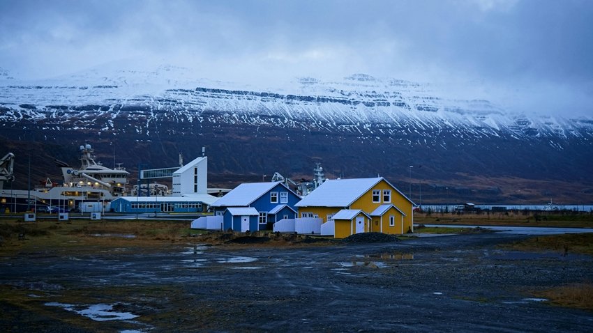 Too Cold for Mosquitoes Why Iceland Has None