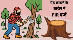 Google Trends: मथुरा में पेड़ काटने के आरोप में तीन लोगों के खिलाफ FIR दर्ज