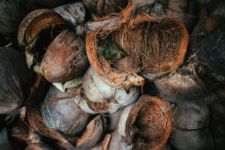 Turn Coconut Husk into Treasure with These 7 Tips