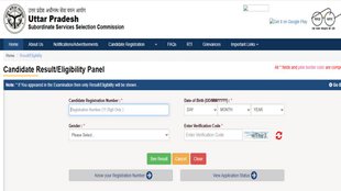 UPSSSC Mains Result 2025, Junior Assistant, Junior Clerk
