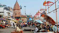 वाराणसी में जानवरों को खाना डालने पर 250 रुपये जुर्माना, नगर निगम कर सकेगा पांच हजार तक की वसूली