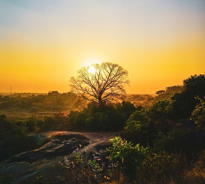 Vedic meaning of 33 Koti