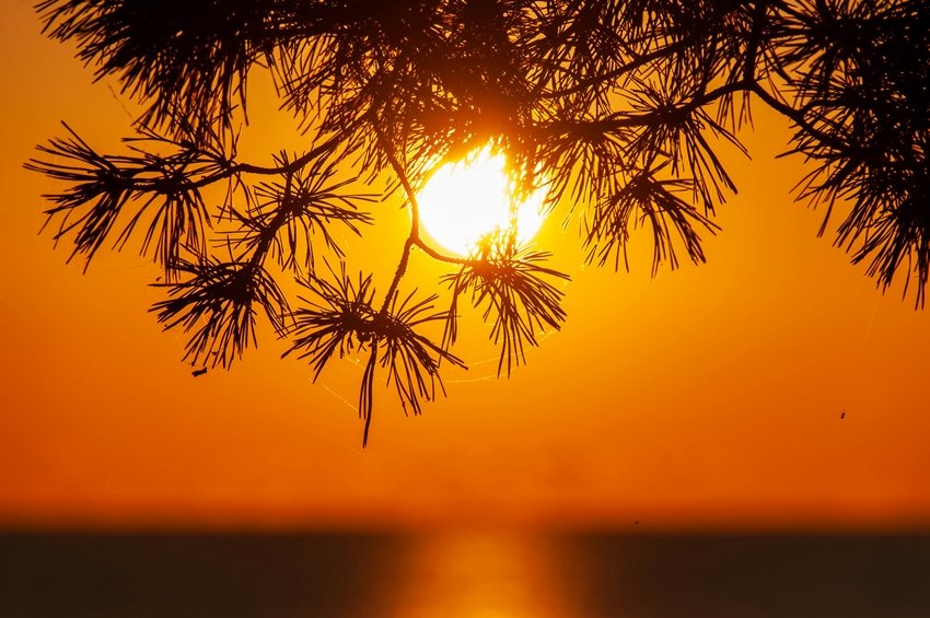Vitamin D and B12 Deficiency Can Lead to Back Pa