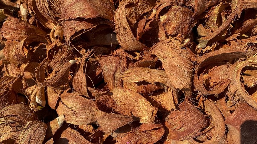 What to Do with Coconut Husk After Puja 7 Brilliant Ideas
